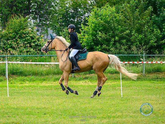 Grafika Obóz sportowy 2026