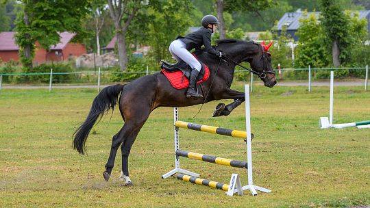 Grafika Obóz sportowy 2026