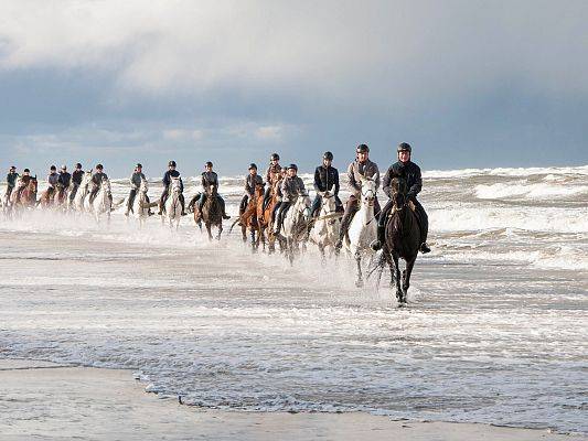 Grafika Wczasy w siodle nad morzem