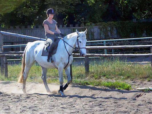 Grafika Lekcja na ujeżdżalni