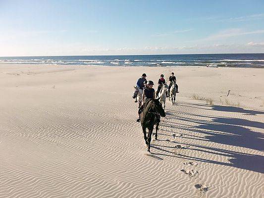 Grafika Wycieczka na plażę