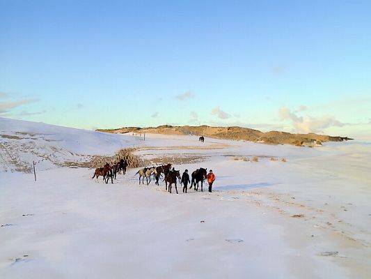 Grafika Zimowa wyprawa na plażę
