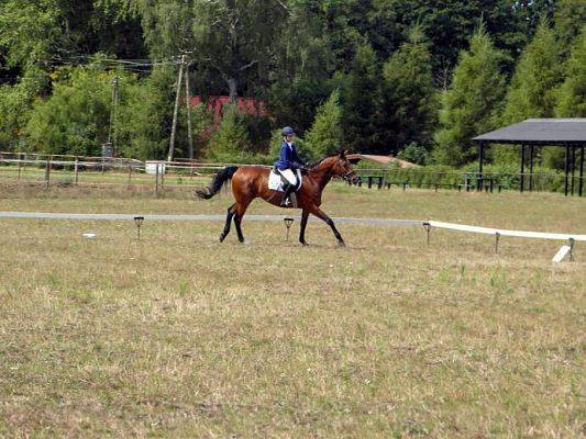 Grafika Trening indywidualny